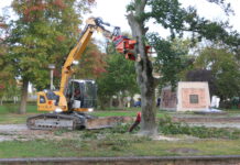 Bahnhofspark Grimma wird komplett umgestaltet – das ist geplant