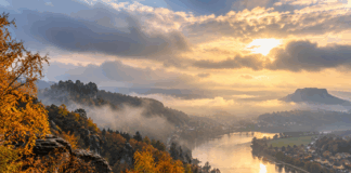 Herbstliches Flusstal im Nebellicht