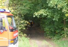Dramatische Rettung im Wald: Feuerwehr befreit eingeklemmten Beifahrer Fotos: Sören Müller