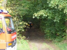 Dramatische Rettung im Wald: Feuerwehr befreit eingeklemmten Beifahrer Fotos: Sören Müller