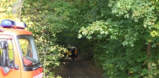 Verfolgungsjagd endet mit schwerem Unfall im Wald bei Naunhof Dramatische Rettung im Wald: Feuerwehr befreit eingeklemmten Beifahrer Fotos: Sören Müller