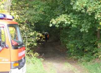 Dramatische Rettung im Wald: Feuerwehr befreit eingeklemmten Beifahrer Fotos: Sören Müller