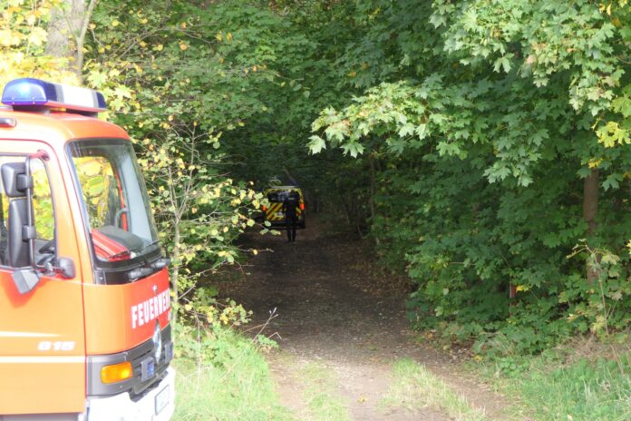 Dramatische Rettung im Wald: Feuerwehr befreit eingeklemmten Beifahrer Fotos: Sören Müller