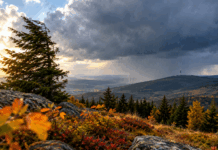 Sturmfront über herbstlichen Bergwäldern