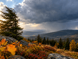 Sturmfront über herbstlichen Bergwäldern