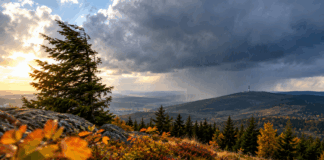Sturmfront über herbstlichen Bergwäldern