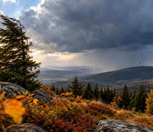 Sturmfront über herbstlichen Bergwäldern